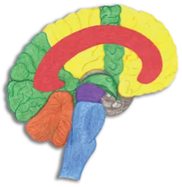 Logo Grundlagenseminar