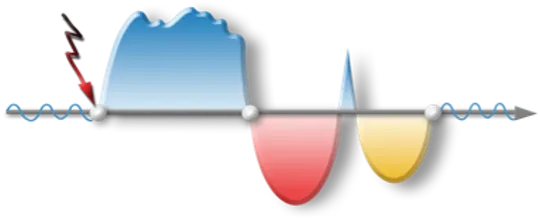 Logo Praxisseminar BioLogisches Heilwissen